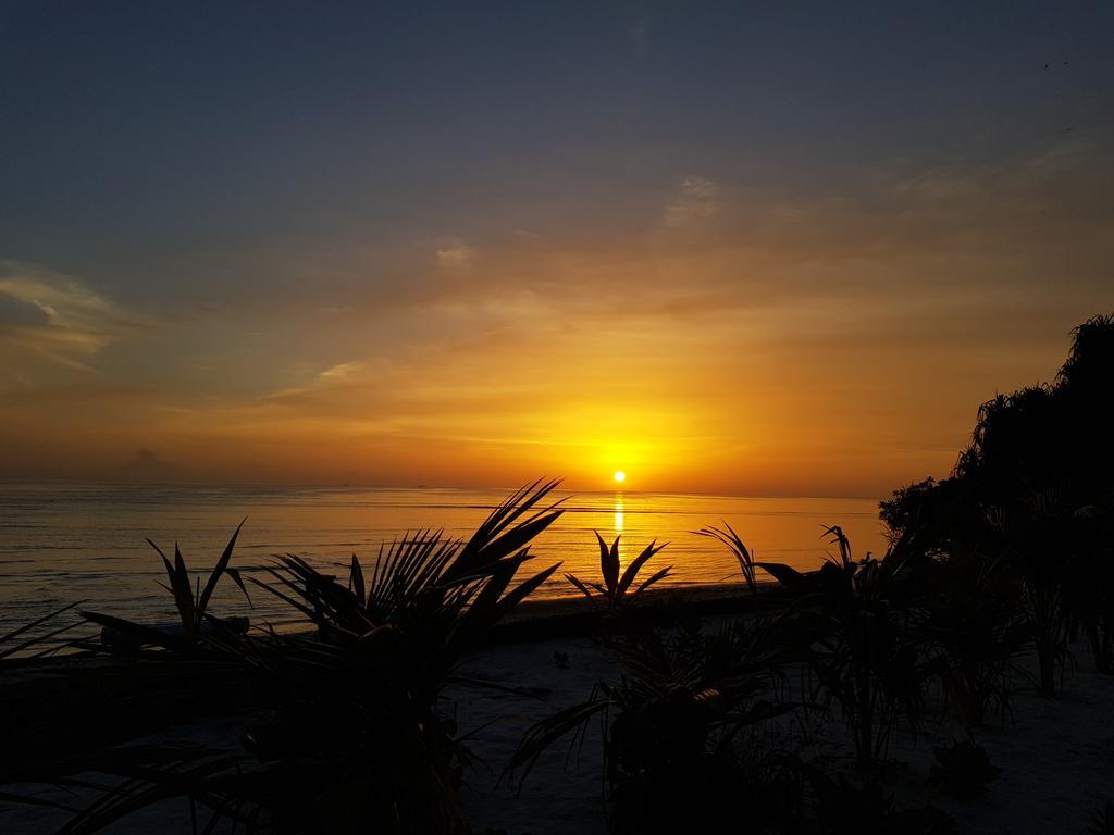 Island Guest Hotell Maamendhoo Exteriör bild