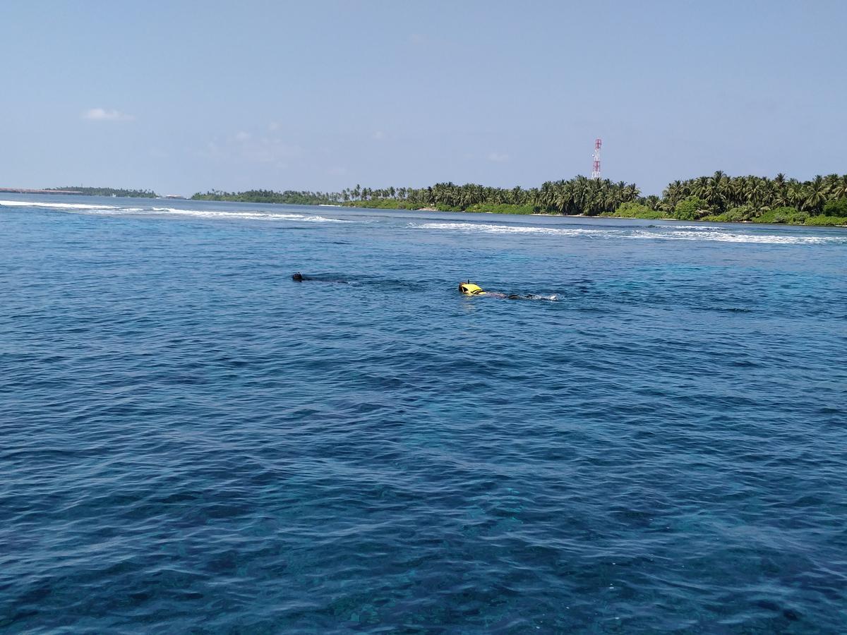 Island Guest Hotell Maamendhoo Exteriör bild